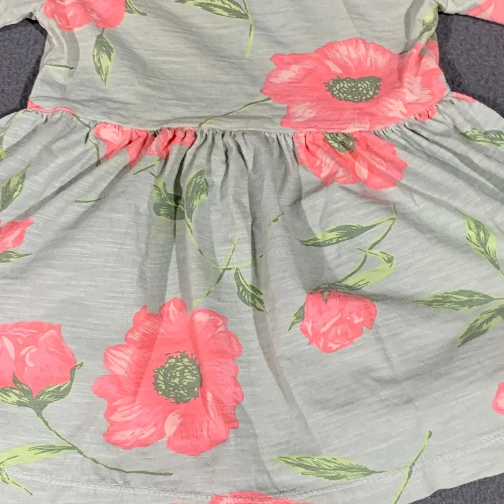 Baileys Blossoms Baby Girl Floral Dress‎ and Bloomers Set Sage Pink 6-9M